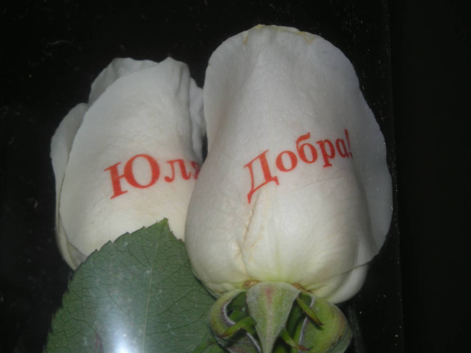 Магазин говорящие цветы, доставку